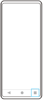 Image showing the position of the overview button in the lower right area.