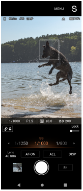 Image of the Photo Pro standby screen in the Shutter speed priority mode in the portrait orientation